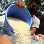 খাদ্যবান্ধব কর্মসূচিতে ১৫ টাকা কেজি দরে চাল পাচ্ছেন ৫৫ লাখ কার্ডধারী