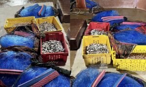 কাতারের সমুদ্রসীমায় অভিযান: ৪টি ধাউ নৌকা ও নিষিদ্ধ মাছ ধরার সরঞ্জাম জব্দ