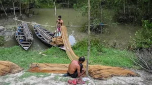 বাংলাদেশে বৃটেনের সহায়তা অর্ধেকে নামায় সুন্দরবনের জলবায়ু প্রকল্প বন্ধের পথে