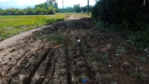 স্বাধীনতার ৫৫ বছর পরও ওসমানীনগরের তিন গ্রামের সড়ক পাকাকরণের অপেক্ষায়