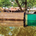 যশোরের ভবদহে ফের জলাবদ্ধতার কবলে জনজীবন: ১৭ কোটি টাকার মৎস্য সম্পদের ক্ষতি
