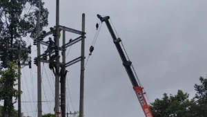 ভারি বৃষ্টিতে গাছ পড়ে উখিয়া-টেকনাফে ৮ ঘণ্টা বিদ্যুৎহীন, চরম দুর্ভোগে গ্রাহকরা