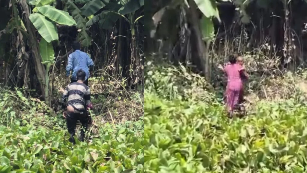 ঝিনাইদহের মহেশপুর সীমান্তে চারজনকে পুশ-ইনের চেষ্টা প্রতিহত করল বিজিবি