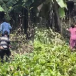 ঝিনাইদহের মহেশপুর সীমান্তে চারজনকে পুশ-ইনের চেষ্টা প্রতিহত করল বিজিবি
