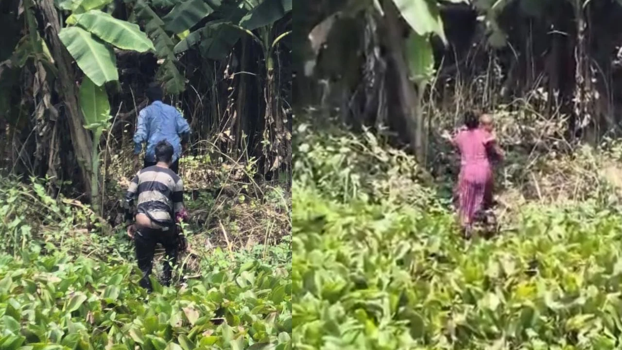 ঝিনাইদহের মহেশপুর সীমান্তে চারজনকে পুশ-ইনের চেষ্টা প্রতিহত করল বিজিবি
