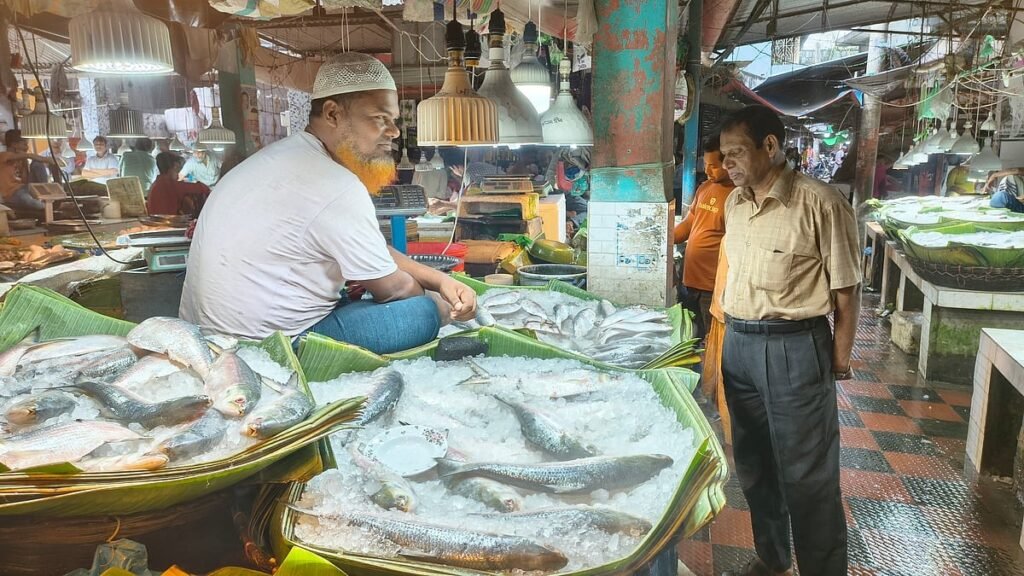 ভারত থেকে ইলিশ আমদানি বন্ধ: বাতিল ১০৩ প্রতিষ্ঠানের অনুমতি