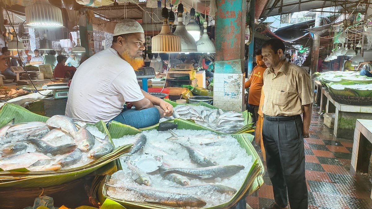 ভারত থেকে ইলিশ আমদানি বন্ধ: বাতিল ১০৩ প্রতিষ্ঠানের অনুমতি
