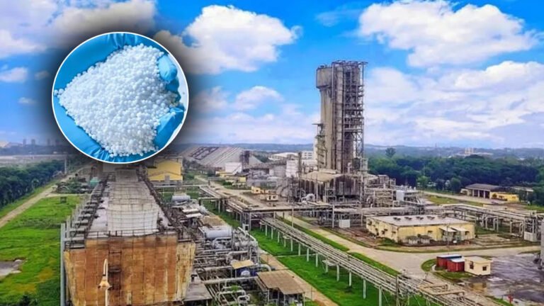 গ্যাস সরবরাহ স্বাভাবিক: পুনরায় ইউরিয়া উৎপাদনে ফিরছে সিইউএফএল