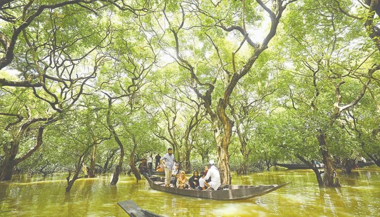 সিলেটের পর্যটনকেন্দ্রে অব্যবস্থাপনা ও হয়রানি: পর্যটকদের তিক্ত অভিজ্ঞতার বয়ান