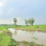 ভারত-বাংলাদেশ অভিন্ন নদীর প্রকৃত সংখ্যা কি ৫৪টির বেশি?