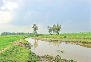 ভারত-বাংলাদেশ অভিন্ন নদীর প্রকৃত সংখ্যা কি ৫৪টির বেশি?