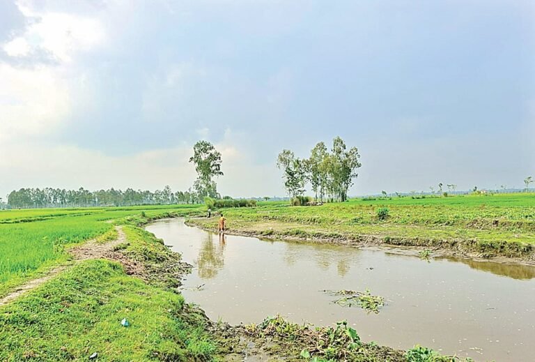 ভারত-বাংলাদেশ অভিন্ন নদীর প্রকৃত সংখ্যা কি ৫৪টির বেশি?