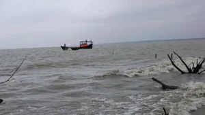 বঙ্গোপসাগরে ট্রলারডুবি: নিখোঁজ দুই জেলে, উদ্ধার ১১