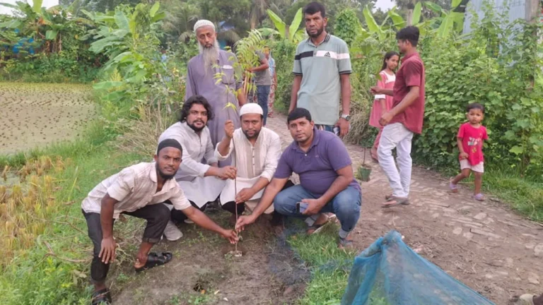 কুমিল্লার ব্রাহ্মণপাড়ায় পরিবেশ রক্ষায় দুই হাজার বৃক্ষরোপণ