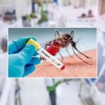 সেপ্টেম্বরের ২৫ দিনে ডেঙ্গুতে ঝরল ১১৪ প্রাণ