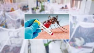 সেপ্টেম্বরের ২৫ দিনে ডেঙ্গুতে ঝরল ১১৪ প্রাণ