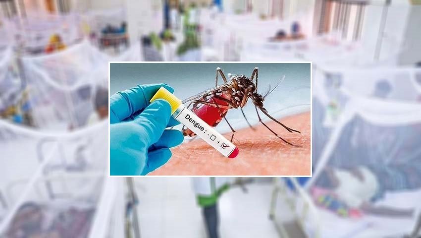 সেপ্টেম্বরের ২৫ দিনে ডেঙ্গুতে ঝরল ১১৪ প্রাণ
