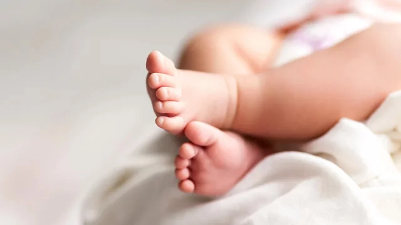 বরিশালে ময়লার স্তূপে দুই নবজাতকের সন্ধান: তদন্তে নেমেছে পুলিশ