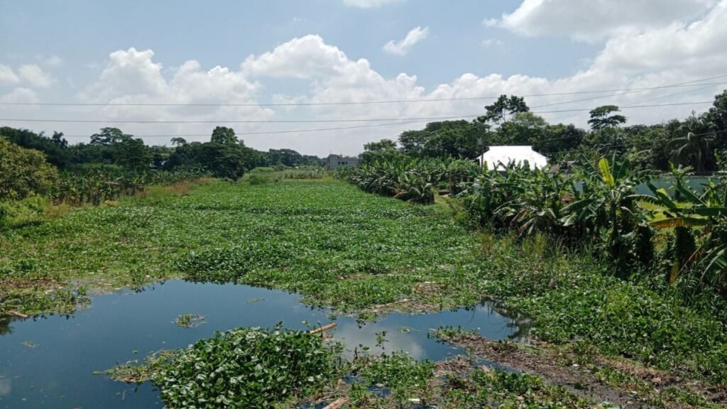 দখল ও ভরাটে অস্তিত্ব সংকটে মাদারীপুরের শিবচরের ময়নাকাটা নদী