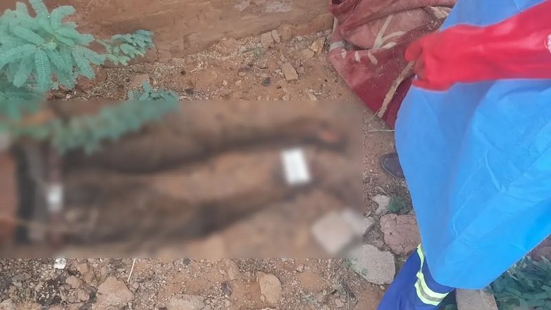 সুদানের গৃহযুদ্ধে মানবিক বিপর্যয়, দাফন করলেন স্বেচ্ছাসেবকরা