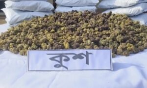 বাংলাদেশে ঢুকছে নতুন মাদক ‘কুশ’: কতটা বিপজ্জনক এই মাদক?