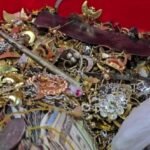পাগলা মসজিদের দানবাক্সে মিলল ১০৪৪ ভরি স্বর্ণ