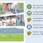 মেহেরপুরে সার সংকট: চাহিদা অনুযায়ী পাচ্ছেন না কৃষক