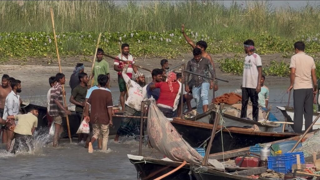 শরীয়তপুরে এমপির নেতৃত্বে ইলিশ রক্ষা অভিযান