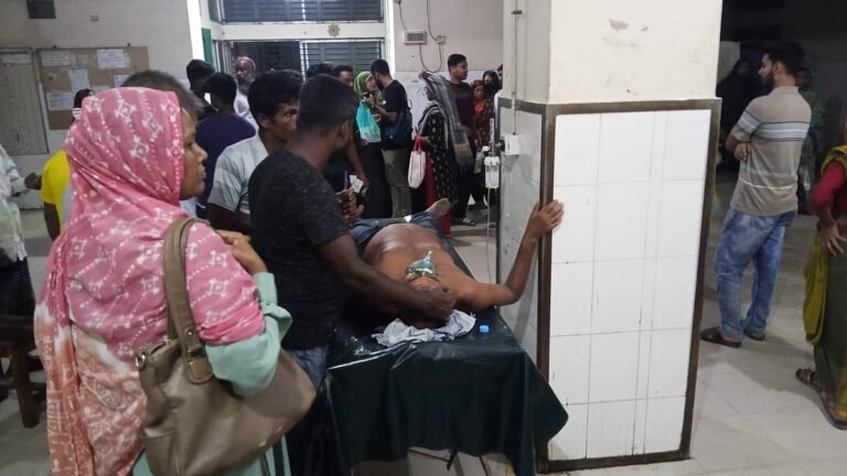 ফরিদপুরে ডিলার নিয়োগে অনিয়মের অভিযোগ করায় যুবদল নেতাকে হাতুড়িপেটা
