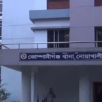 কোম্পানীগঞ্জে ট্রাকের ধাক্কায় বৃদ্ধার মর্মান্তিক মৃত্যু
