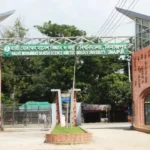 প্রধানমন্ত্রী স্বর্ণপদকের জন্য হাবিপ্রবির ১৬ শিক্ষার্থী মনোনীত