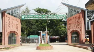 প্রধানমন্ত্রী স্বর্ণপদকের জন্য হাবিপ্রবির ১৬ শিক্ষার্থী মনোনীত